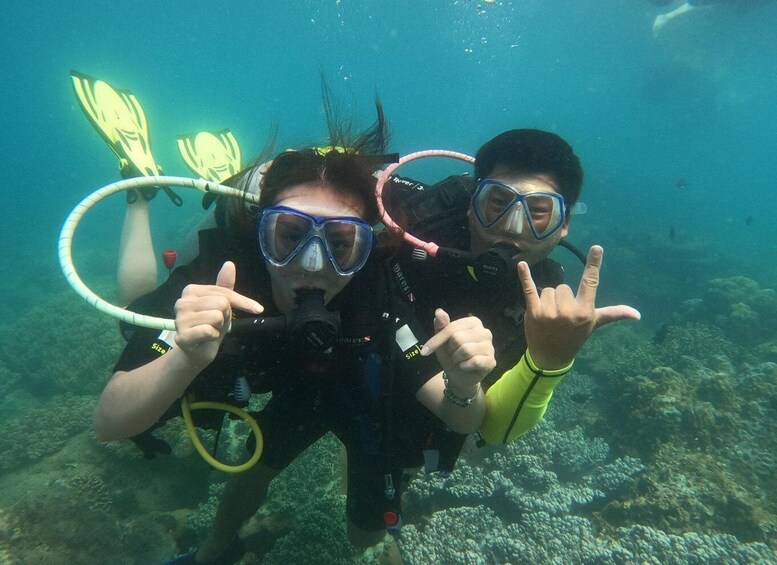Picture 4 for Activity Nha Trang: Scuba Diving Experience for Non-Certified Divers