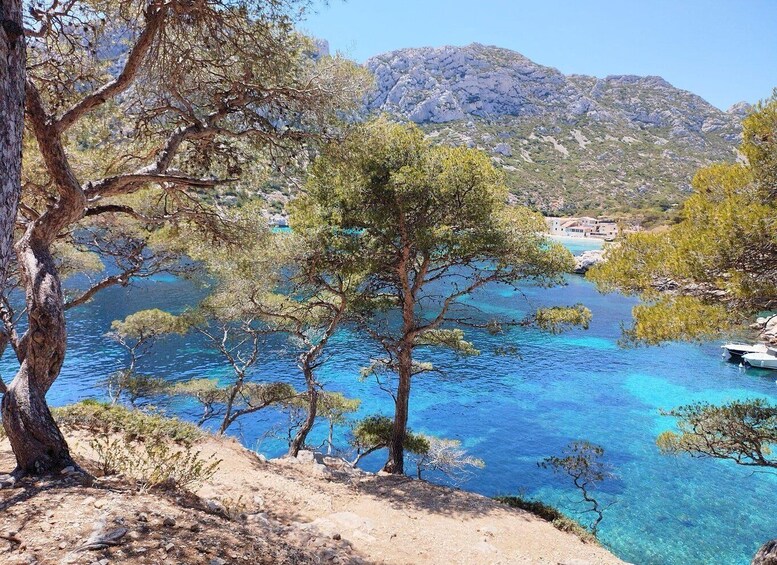 Picture 5 for Activity Marseille: Guided Hiking Calanques National Park from Luminy
