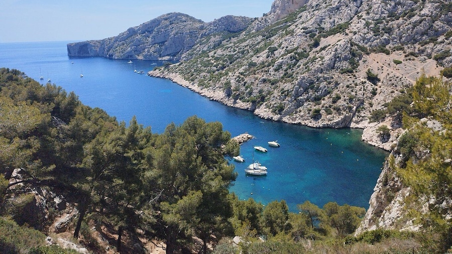 Marseille: Guided Hiking Calanques National Park from Luminy