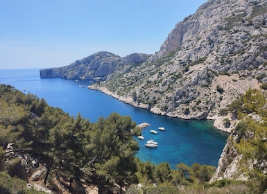 Marseille: Guided Hiking Calanques National Park from Luminy