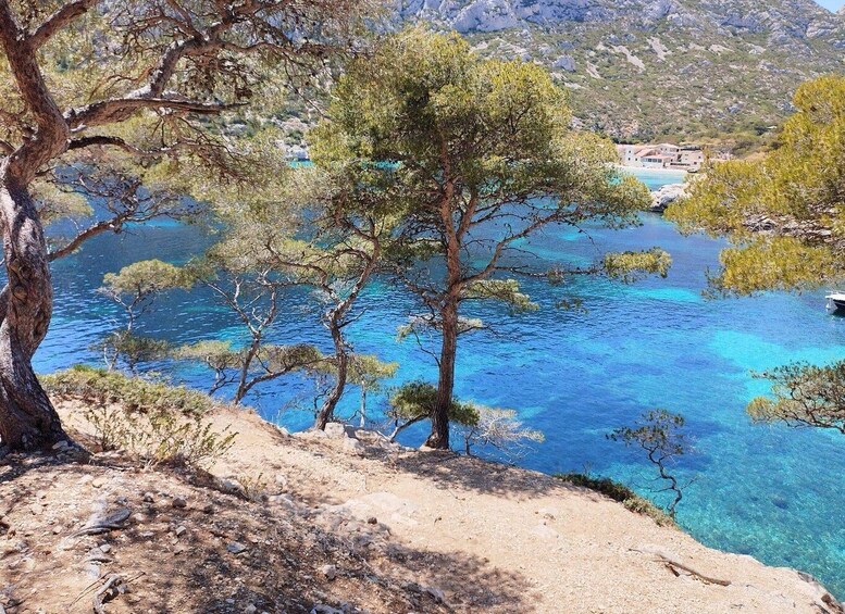 Picture 9 for Activity Marseille: Guided Hiking Calanques National Park from Luminy