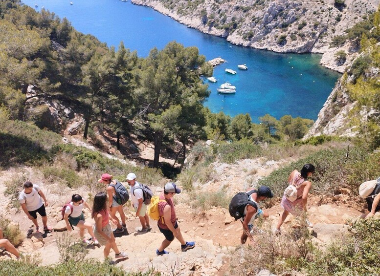 Picture 1 for Activity Marseille: Guided Hiking Calanques National Park from Luminy
