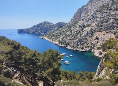 Marseille: Guided Hiking Calanques National Park from Luminy
