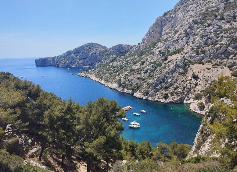 Marseille: Guided Hiking Calanques National Park from Luminy