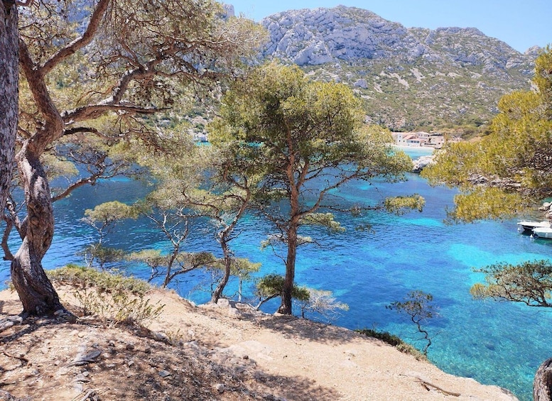 Picture 9 for Activity Marseille: Guided Hiking Calanques National Park from Luminy