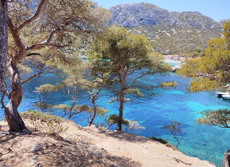 Picture 9 for Activity Marseille: Guided Hiking Calanques National Park from Luminy