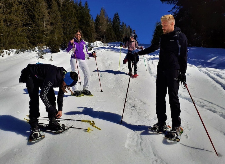 Picture 4 for Activity Dolomites snowshoes winter hike