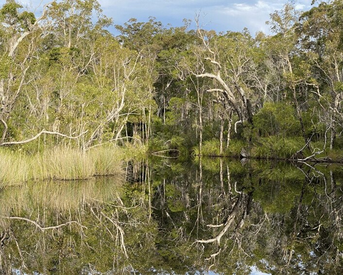 Picture 1 for Activity Tasty Noosa Everglades