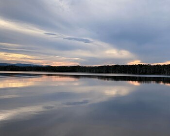 Gustose Everglades di Noosa