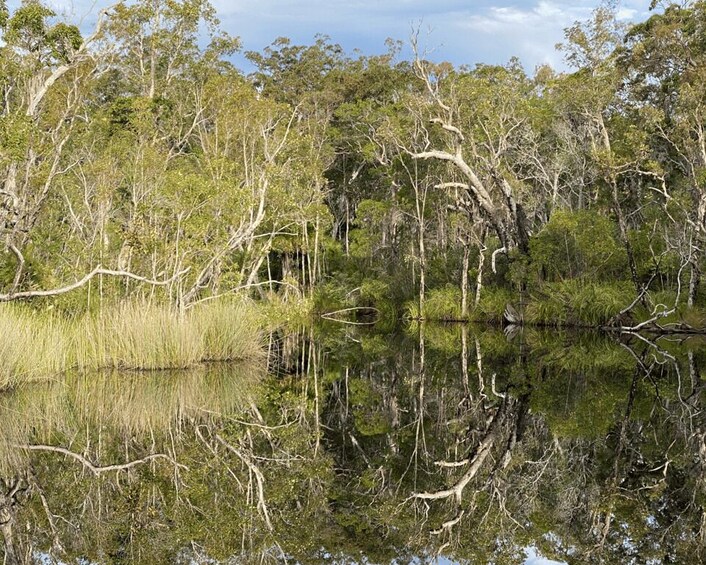 Picture 1 for Activity Tasty Noosa Everglades