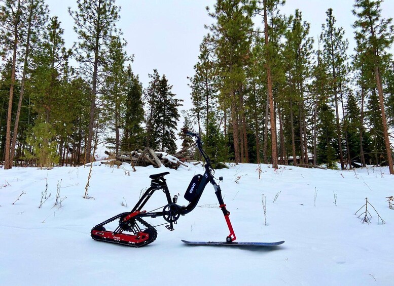 Picture 5 for Activity Kelowna: Snow E-Biking with Lunch, Wine Tastings & S'mores