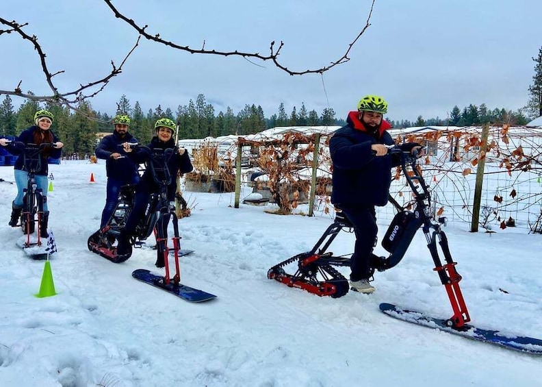 Picture 3 for Activity Kelowna: Snow E-Biking with Lunch, Wine Tastings & S'mores