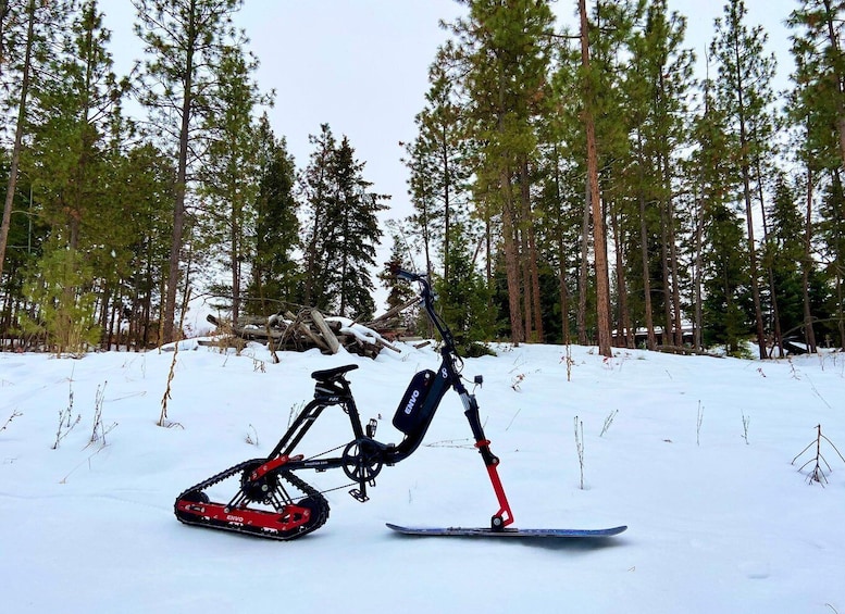 Picture 5 for Activity Kelowna: Snow E-Biking with Lunch, Wine Tastings & S'mores