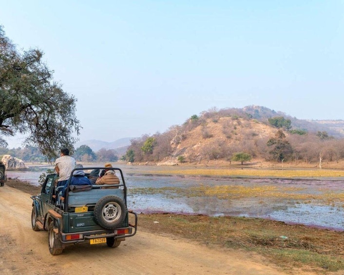 Picture 11 for Activity From Jaipur: Overnight Ranthambore Tiger Safari Private Tour