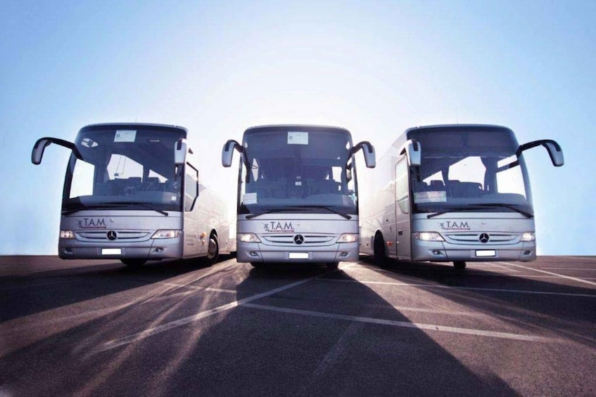 Picture 2 for Activity Rome: Bus between Fiumicino Airport and Termini/Ostiense st
