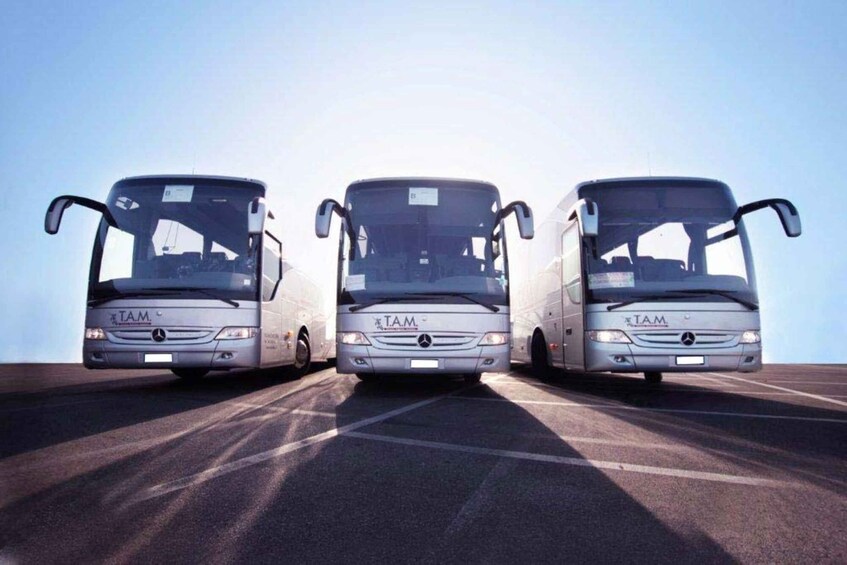 Picture 2 for Activity Rome: Bus between Fiumicino Airport and Termini/Ostiense st