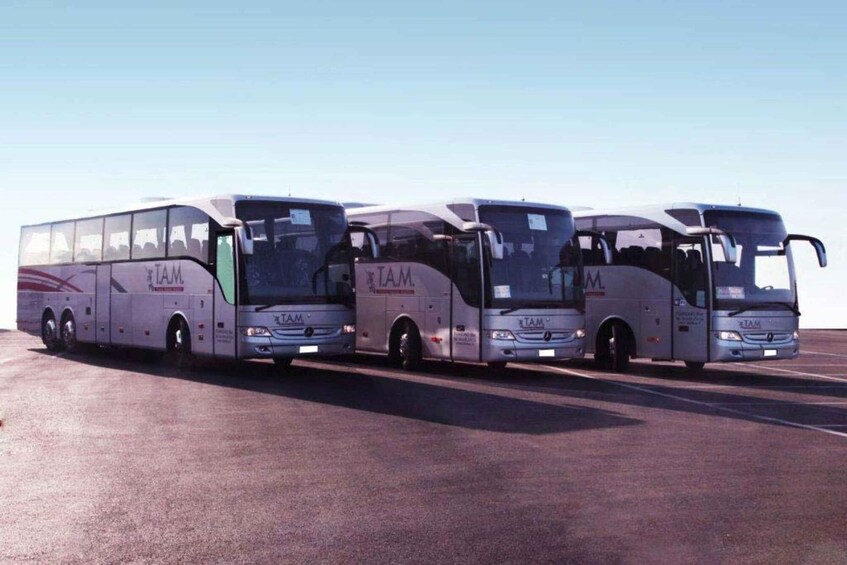 Picture 4 for Activity Rome: Bus between Fiumicino Airport and Termini/Ostiense st