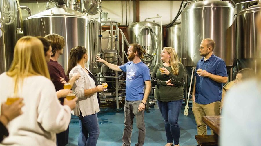 Richmond: Guided Tour of Local Breweries with Tastings