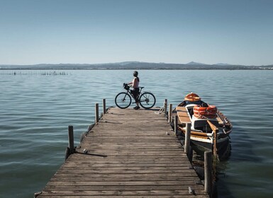 Valencia: Road to La Albufera Guided Private Bike Tour