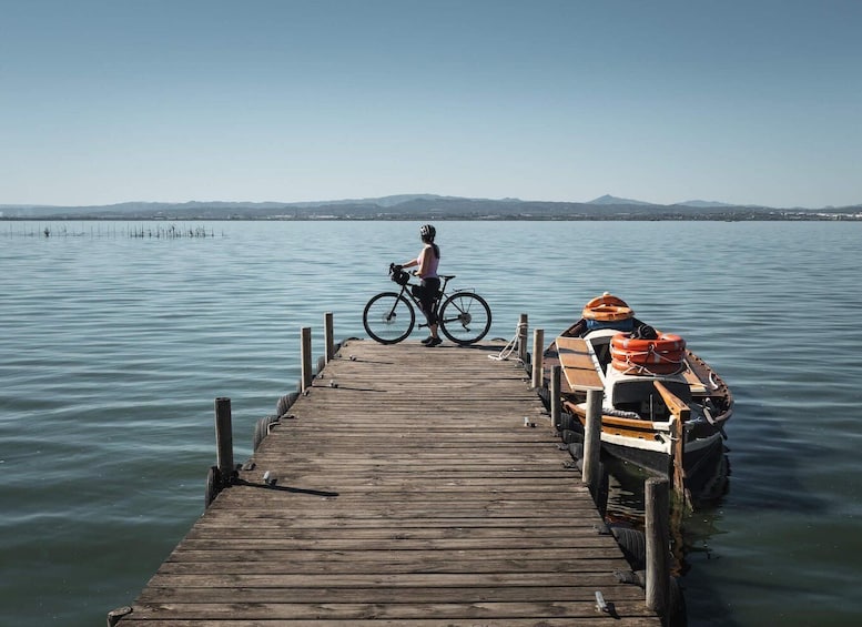 Valencia: Road to La Albufera Guided Private Bike Tour