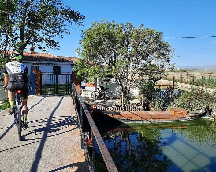 Picture 1 for Activity Valencia: Road to La Albufera Guided Bike Tour