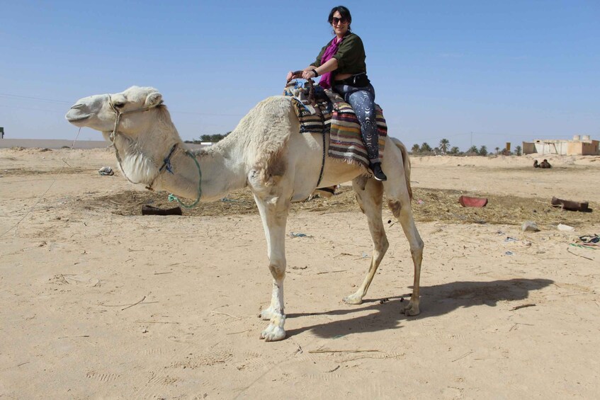 Picture 2 for Activity One Day Excursion To Douz-Matmata From Djerba/Zarzis