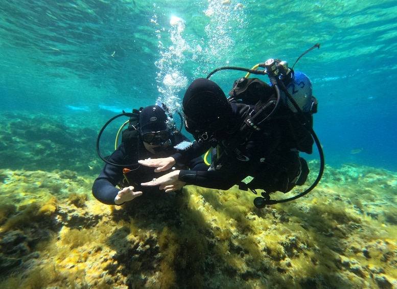 Picture 1 for Activity Malta: St. Paul's Bay 1 Day Scuba Diving Course