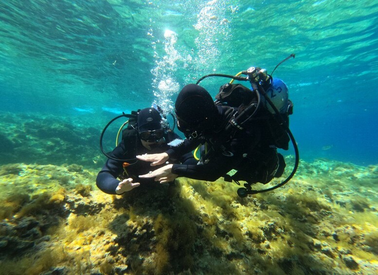 Picture 1 for Activity Malta: St. Paul's Bay 1 Day Scuba Diving Course