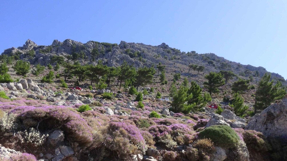 Picture 9 for Activity Ierapetra: Eastern Crete Nature Jeep Driving Tour