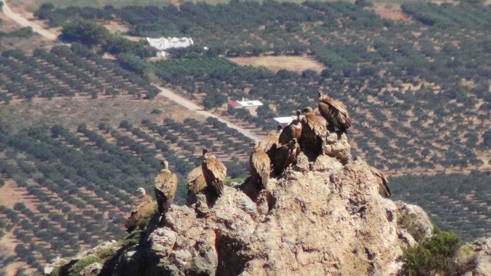 Picture 7 for Activity Ierapetra: Eastern Crete Nature Jeep Driving Tour