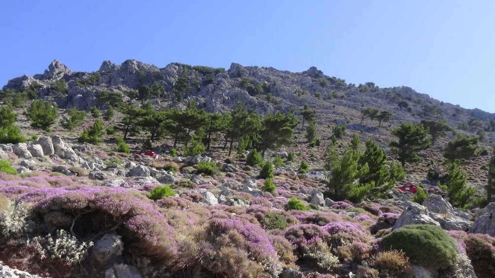 Picture 9 for Activity Ierapetra: Eastern Crete Nature Jeep Driving Tour