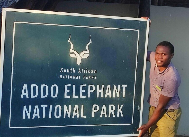 Picture 3 for Activity Addo Elephant Park Tours .