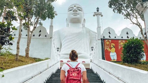 Kandy City Explore Tour - Private Tour With Local Guide