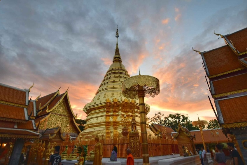 Picture 4 for Activity Chiang Mai: Doi Suthep & Wat Umong Twilight Tour with Pickup