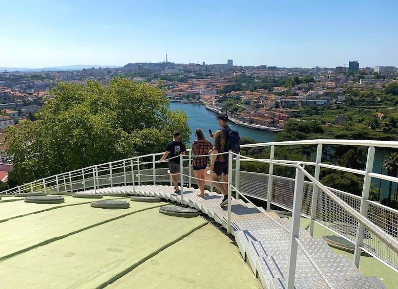 Porto 360 guided tour to Super Bock Arena