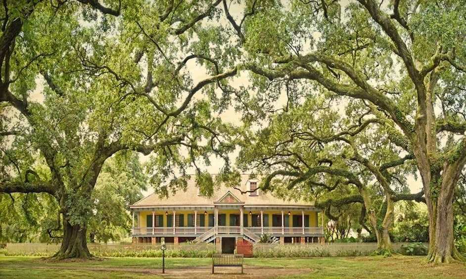 Picture 6 for Activity New Orleans: Oak Alley or Laura Plantation & Airboat Tour