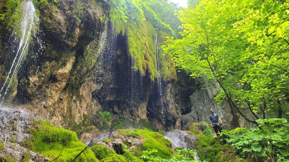 Picture 13 for Activity From Cluj-Napoca: Apuseni Mountains Hiking Guided Day Tour