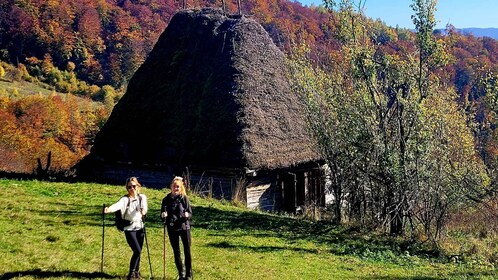 Von Cluj-Napoca aus: Apuseni Gebirge Wandern Geführte Tagestour