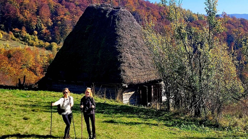 From Cluj-Napoca: Apuseni Mountains Hiking Guided Day Tour