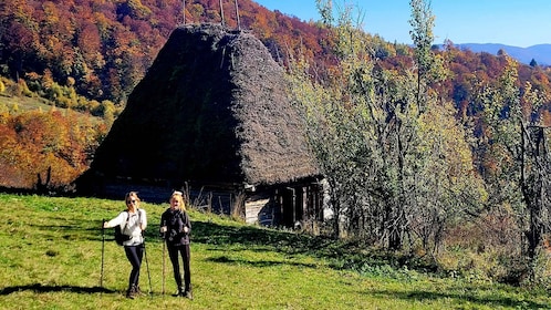 From Cluj-Napoca: Apuseni Mountains Hiking Guided Day Tour