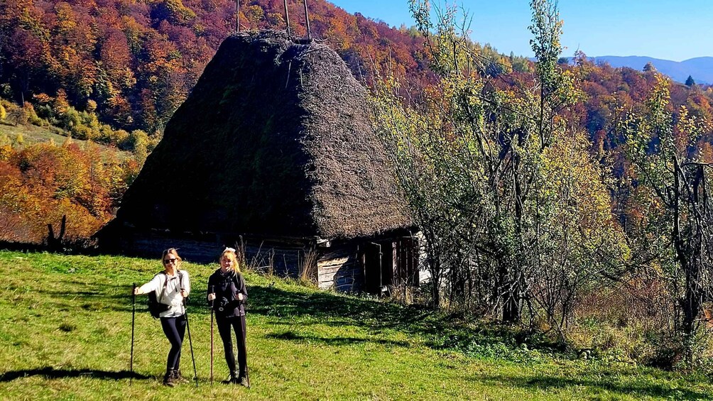 From Cluj-Napoca: Apuseni Mountains Hiking Guided Day Tour