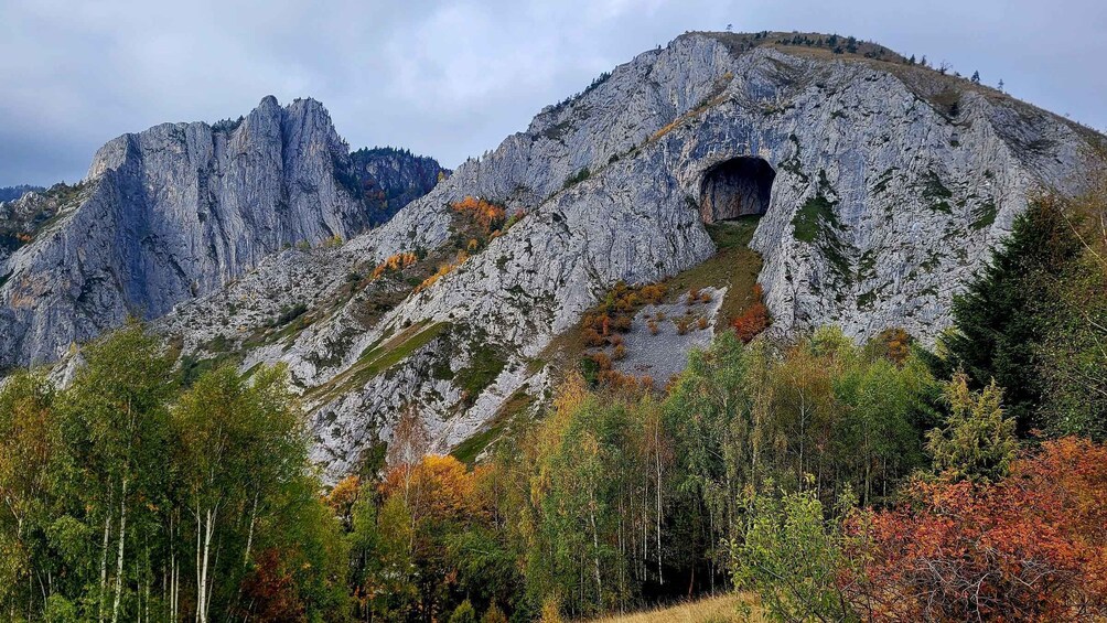 Picture 3 for Activity From Cluj-Napoca: Apuseni Mountains Hiking Guided Day Tour