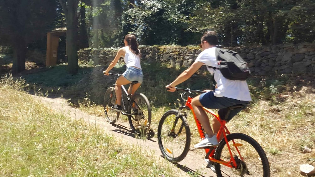 Picture 3 for Activity Rome: Appian Way and Roman Countryside Electric Bike Tour