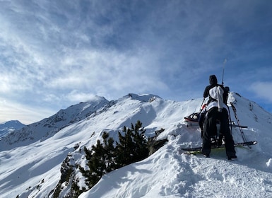 Innsbruck: Priv. Guided Snowy Mountain Hike /Snowshoe´s