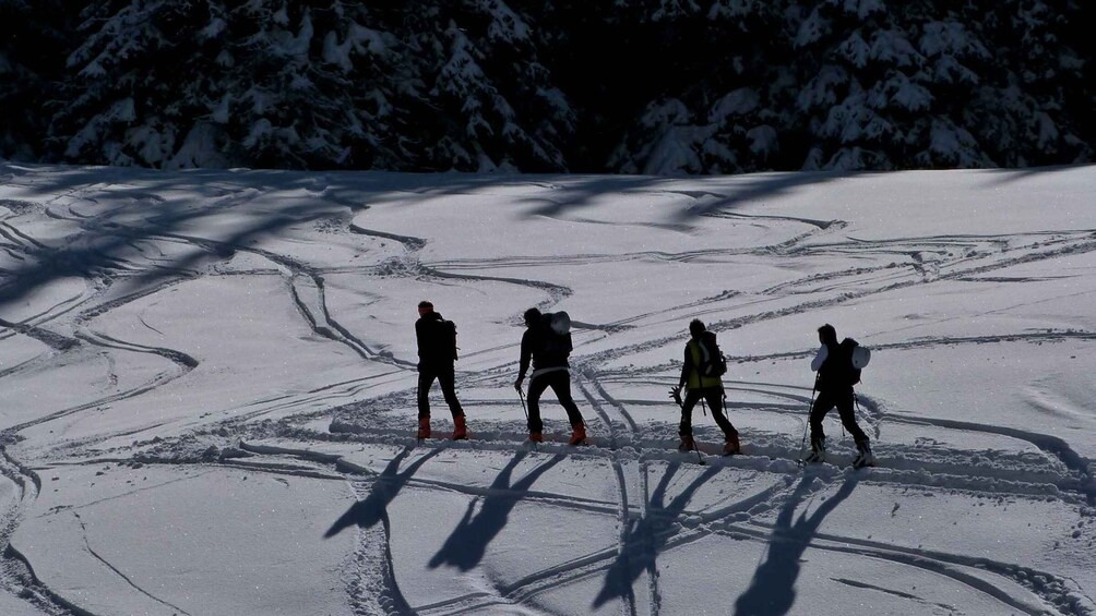 Picture 2 for Activity Innsbruck: Priv. Guided Snowy Mountain Hike /Snowshoe´s