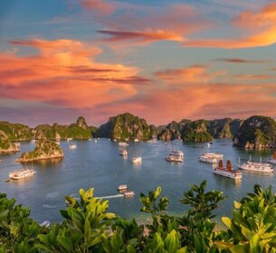 From Hanoi: Ha Long Bay Luxury Day Cruise Limousine Transfer