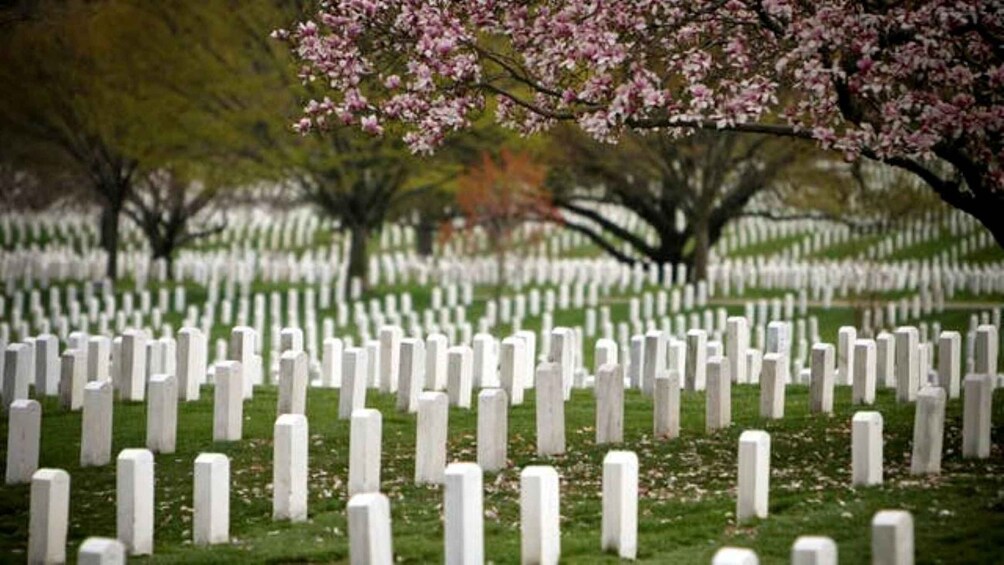 Picture 3 for Activity Arlington Cementary & Guard Ceremony with Iowa Jima Memorial