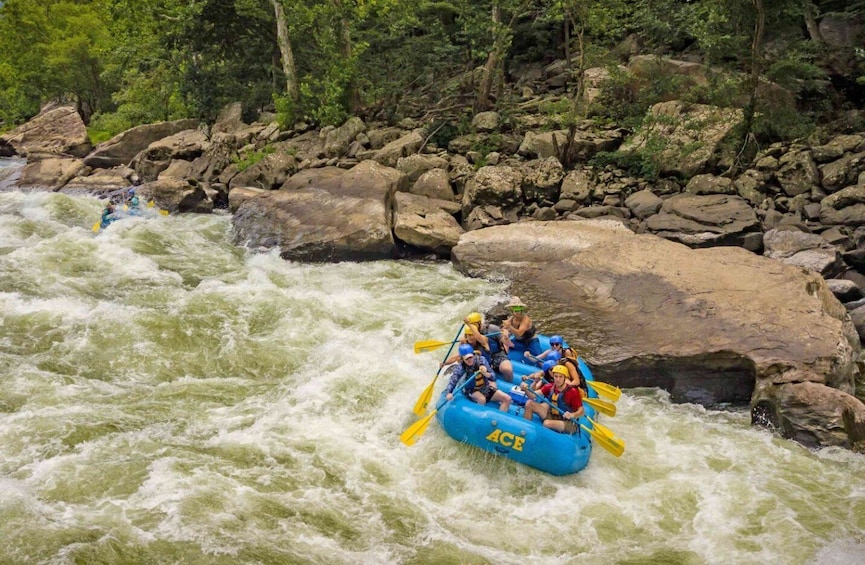 Picture 3 for Activity New River Gorge Whitewater Rafting - Lower New Half Day