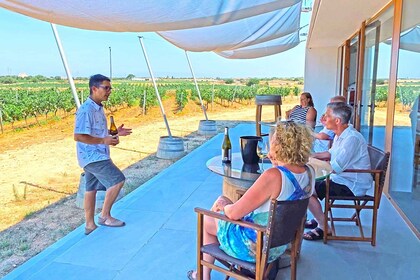 Ciutadella de Menorca: Family Winery Tour with Wine Tasting