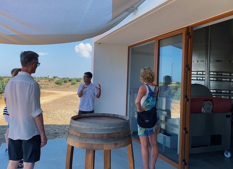 Picture 3 for Activity Ciutadella de Menorca: Family Winery Tour with Wine Tasting